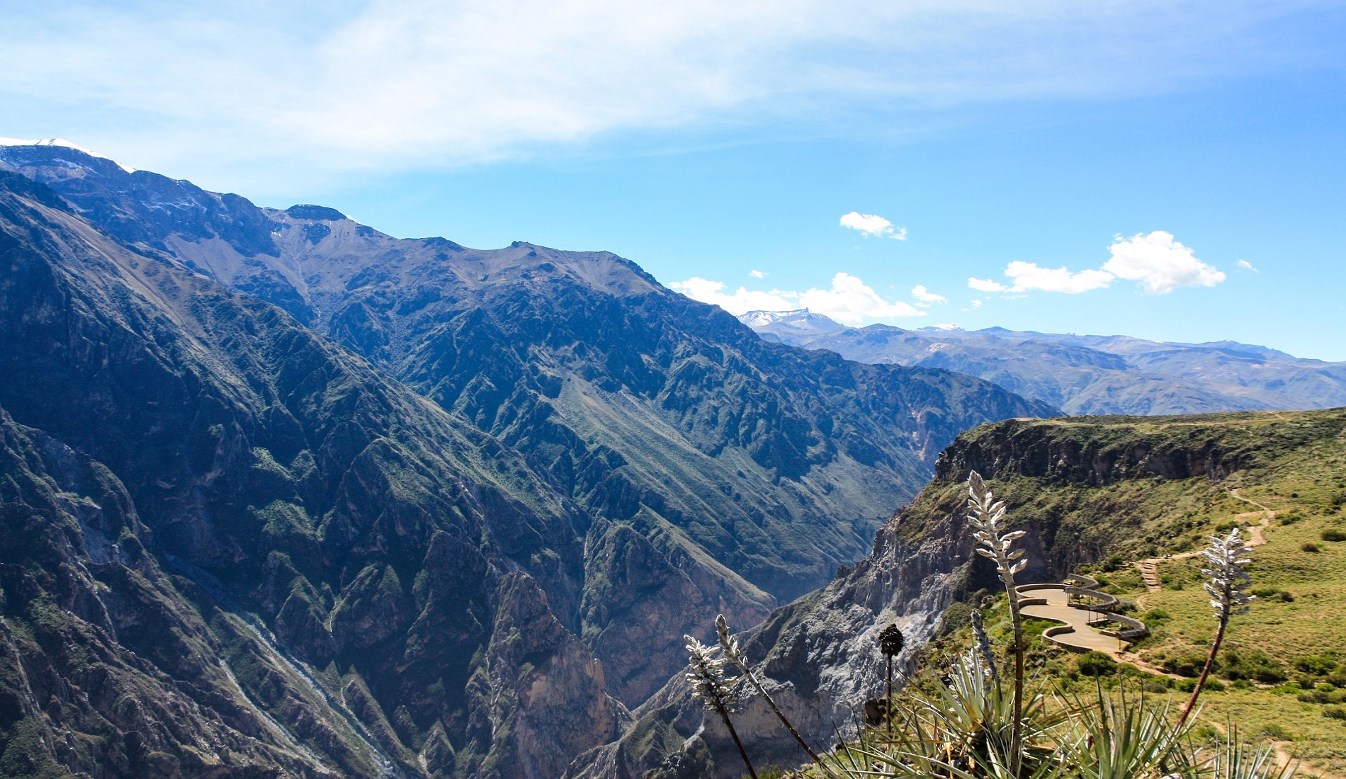 Colca Canyon rondreis peru