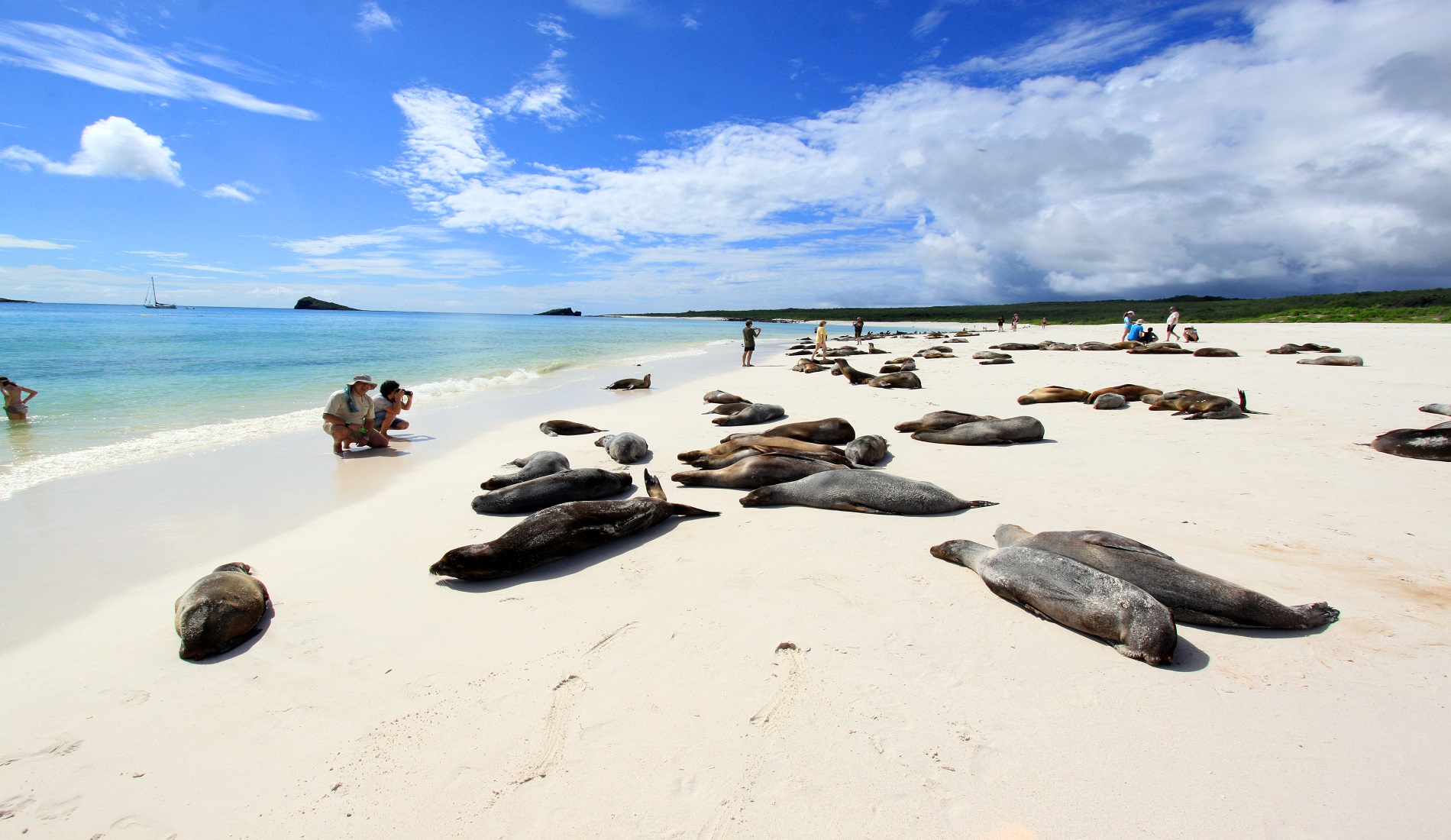 Espanola Gardner Bay rondreis galapagos eilanden