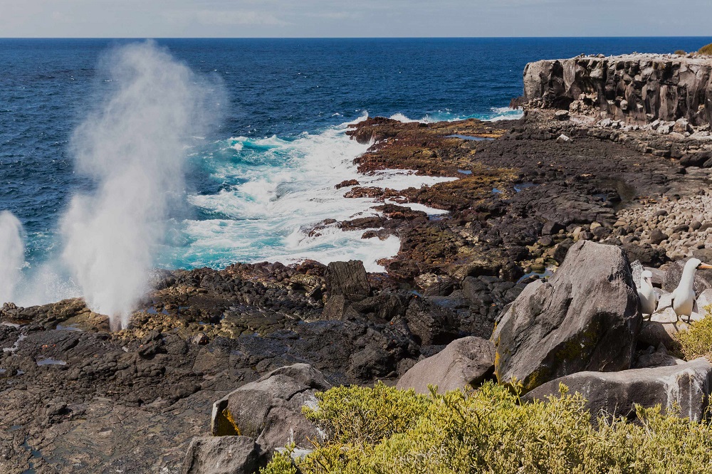 Española Suarez Point