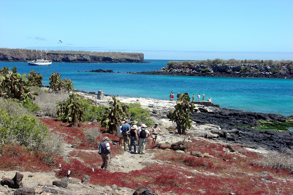 South Plazas Island rondreis galapagos