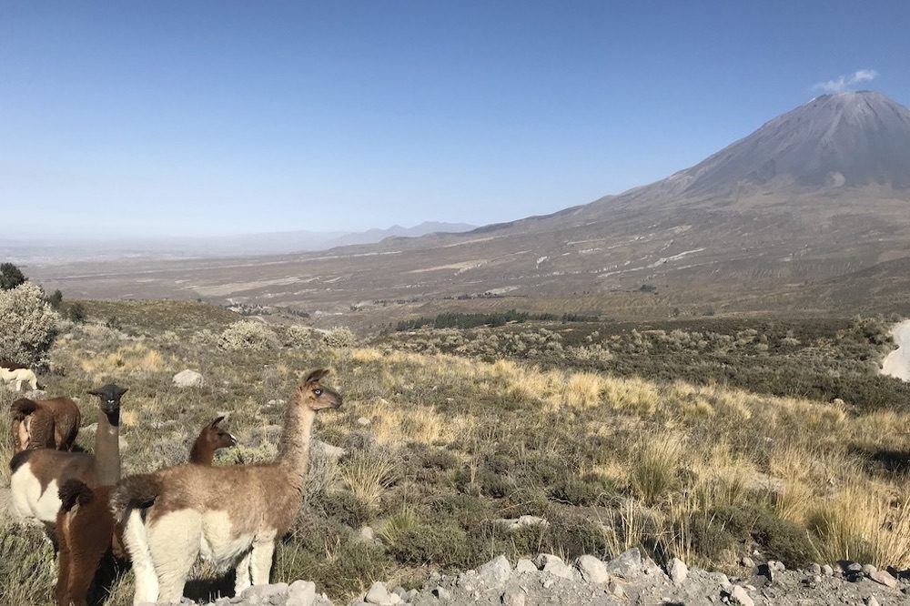 Arequipa rondreis peru