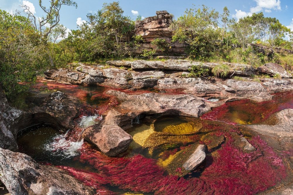 Cano Cristales fotoreis colombia