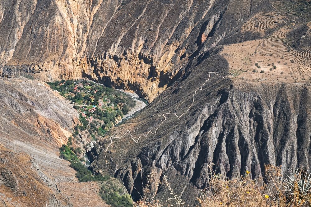 Colca Canyon Peru 