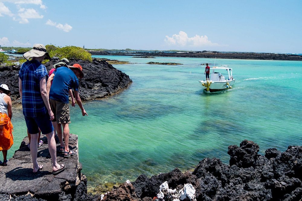 Galapagos excursie vanuit isabela
