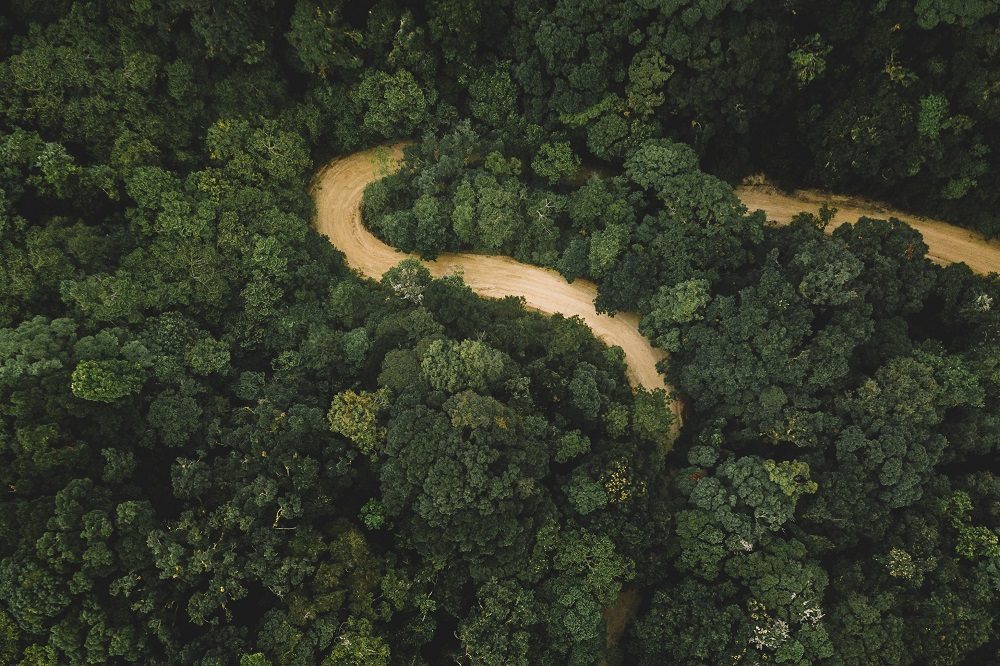 Rio Platano rondreis honduras