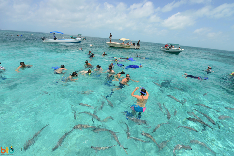 Shark Ray Alley rondreis belize