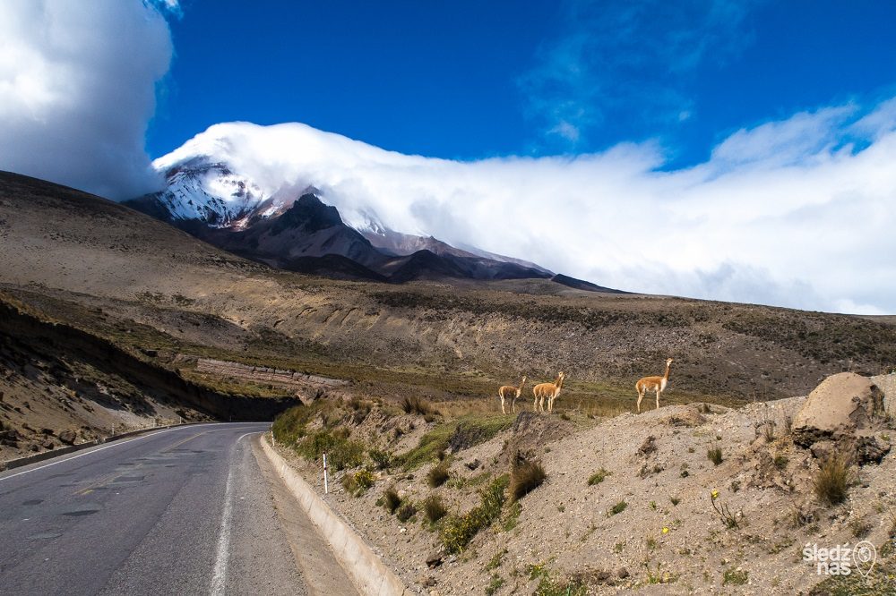Weg bij Chimborazo