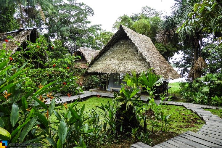 amazone rondreis colombia procolombia