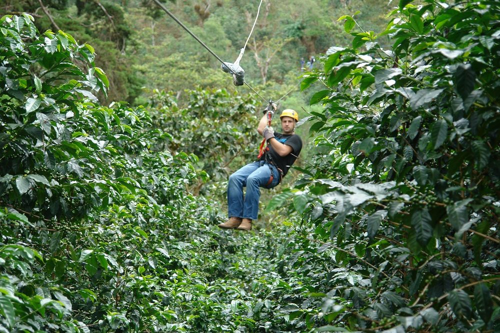 Canopy - Apaneca