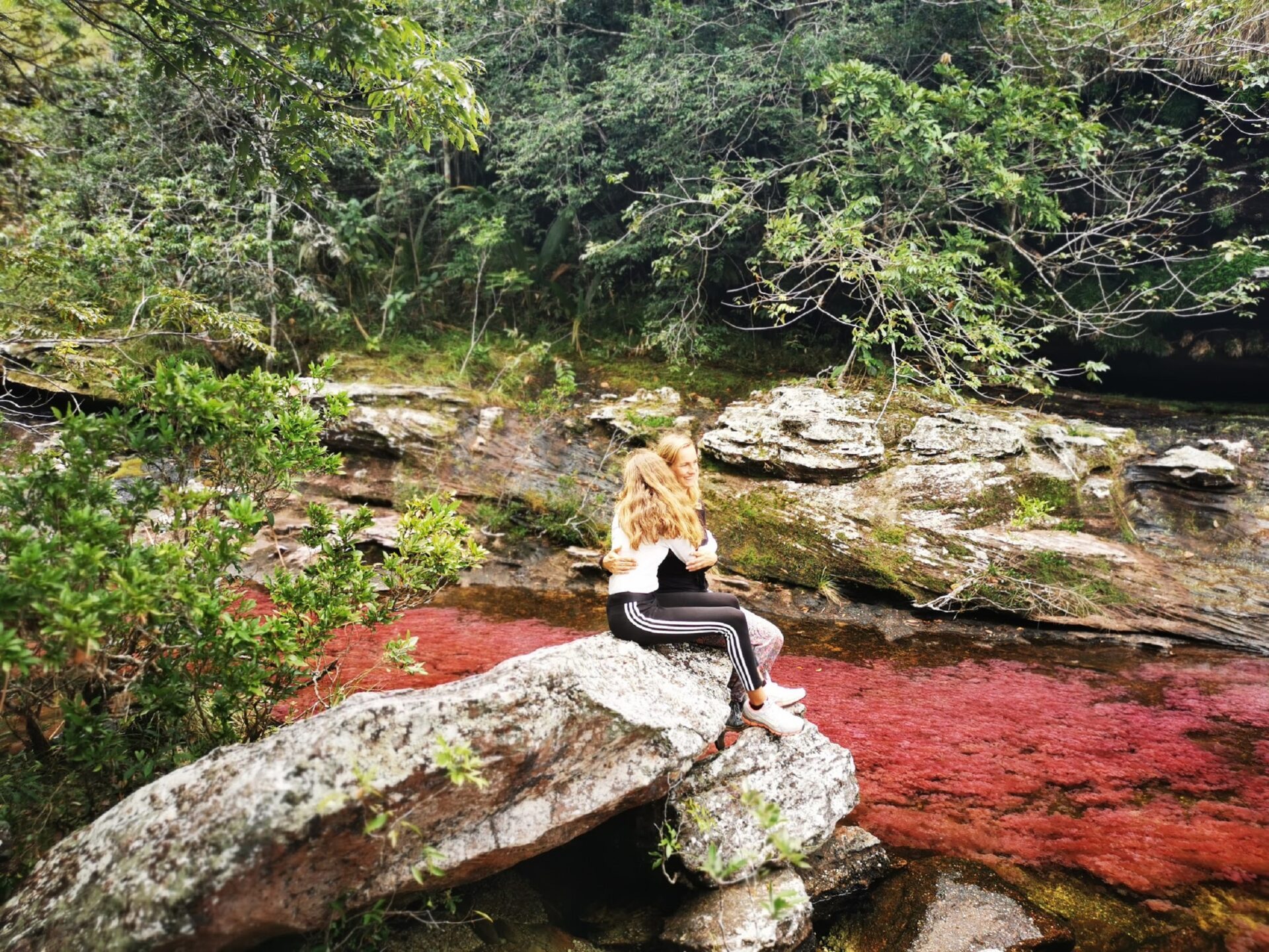 barbara unico travel cano cristales 2 barbara unico travel cano cristales 2