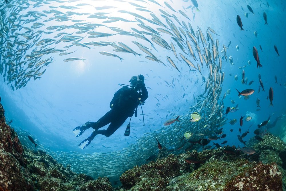 duiken galapagos eilanden