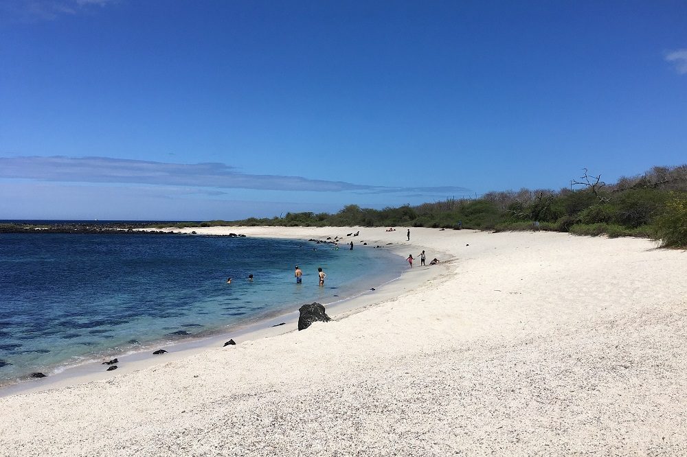 eilandhoppen galapagos Playa Punta Carola San Cristobal