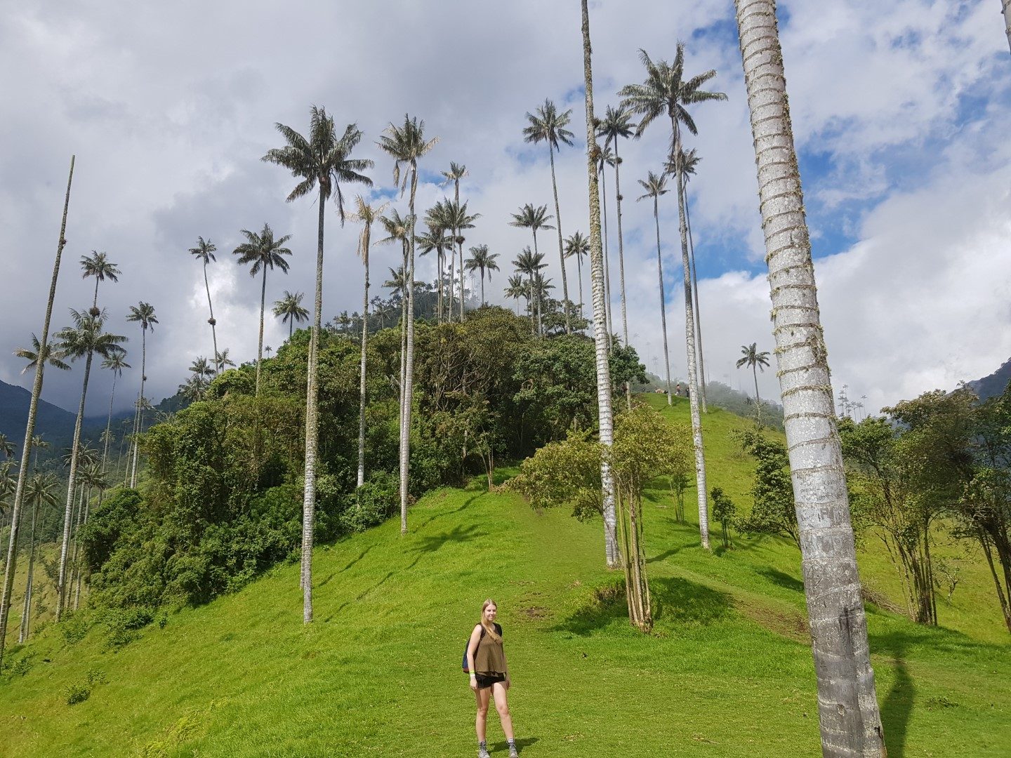 elise vallei cocora