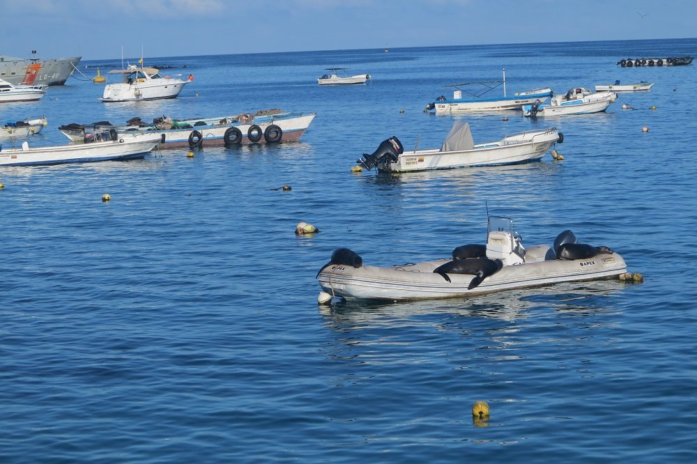 galapagos eilanden boten