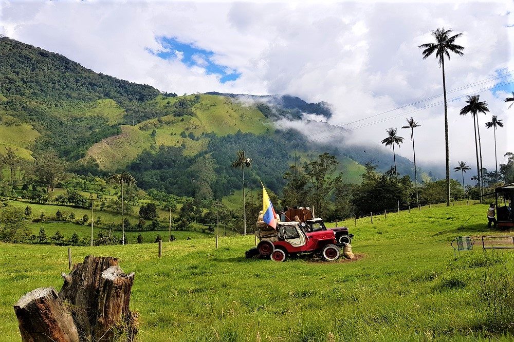 jeep valle de cocora colombia
