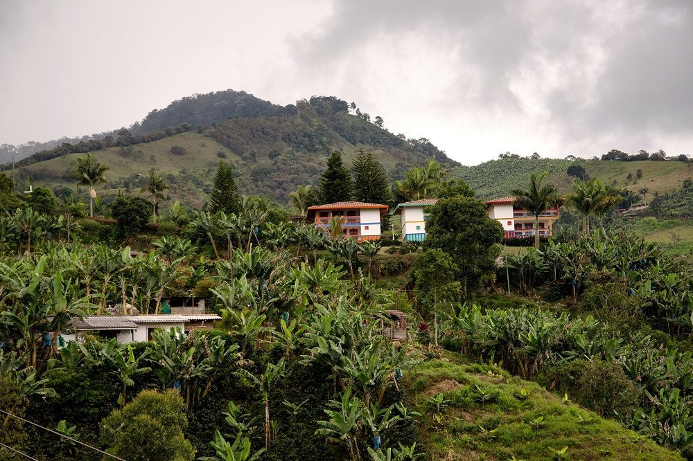 koffieplantage rondreis colombia