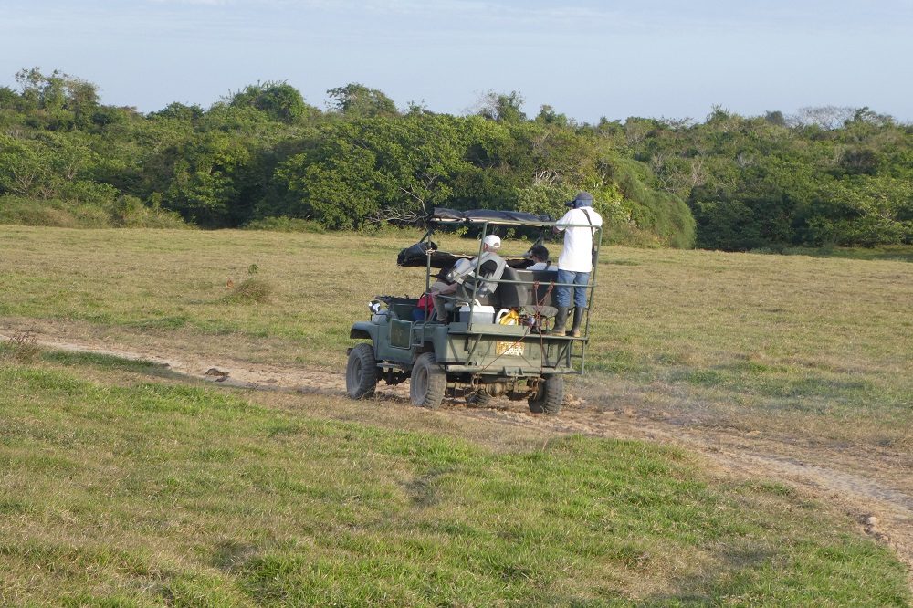 los llanos rondreis colombia safari los llanos rondreis colombia safari