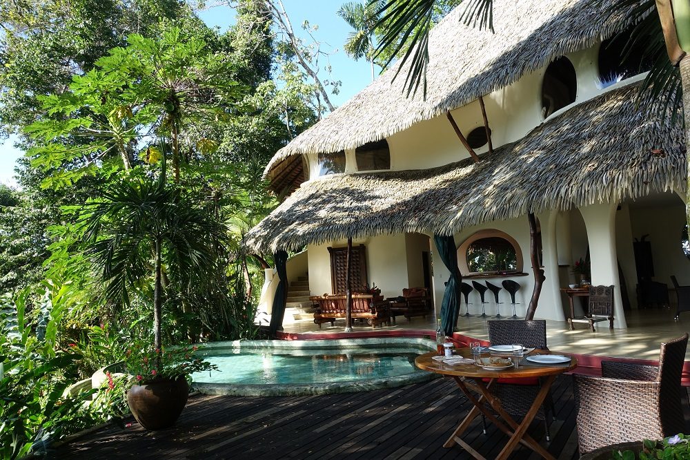 matapalo las nubes matapalo las nubes