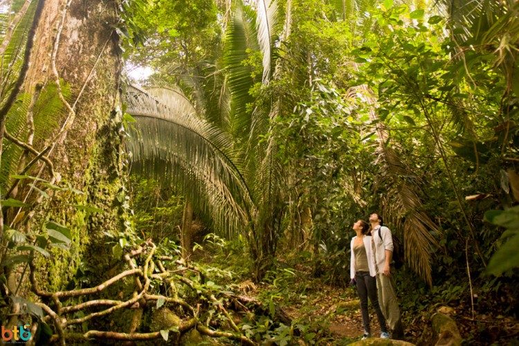 mayflower bocawina national park rondreis belize mayflower bocawina national park rondreis belize