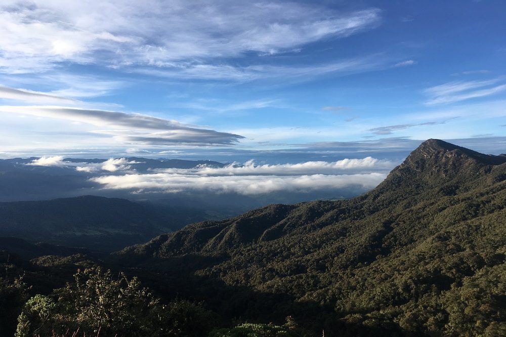 nationaal park chingaza colombia