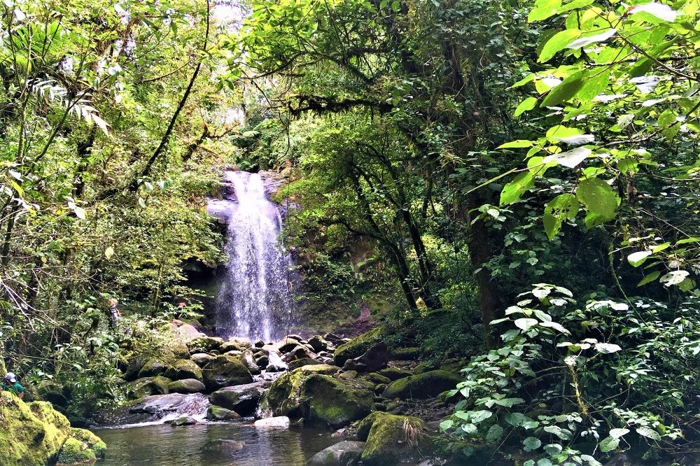 panama hoogtepunten boquete panama hoogtepunten boquete