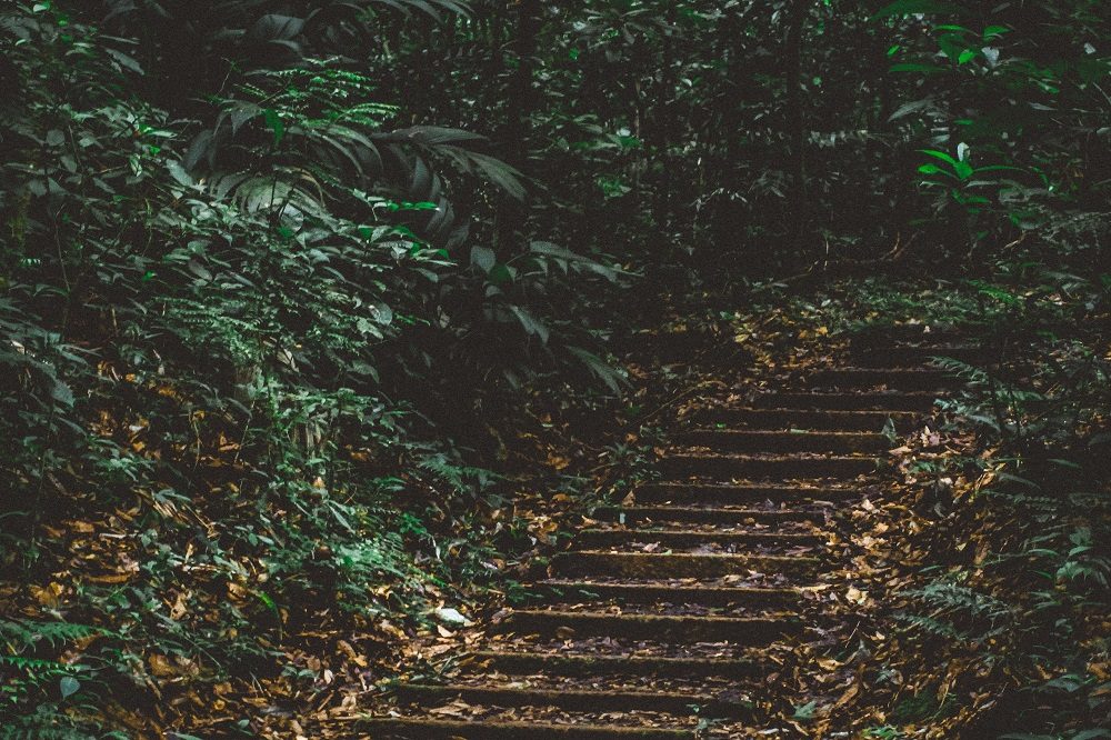 rondreis honduras la tigra rondreis honduras la tigra