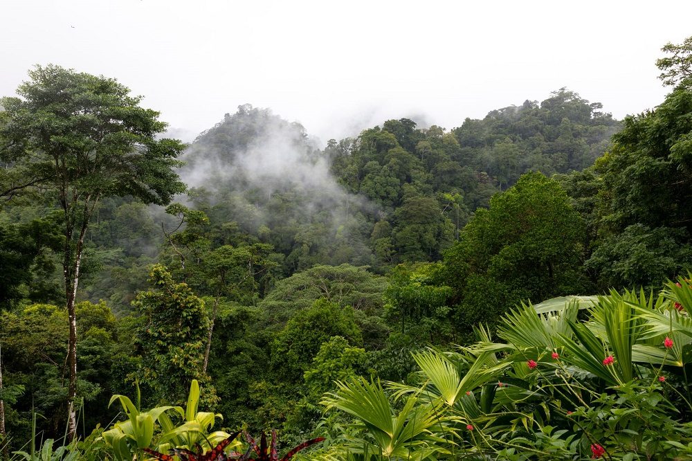 uitzicht luna lodge corcovado