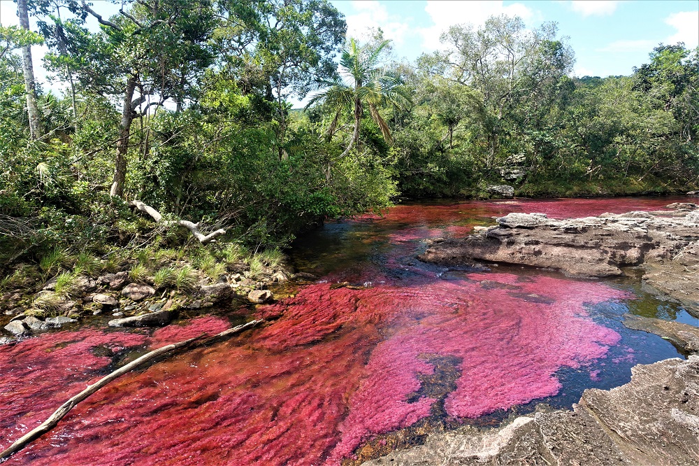 cano cristales rondreis colombia