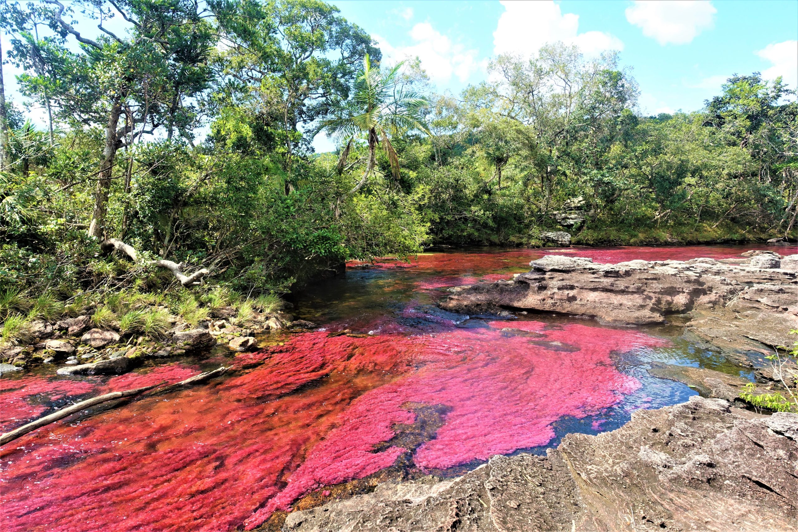 fotoreis colombia cano cristales