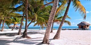 rondreis belize hoogtepunten rondreis belize hoogtepunten
